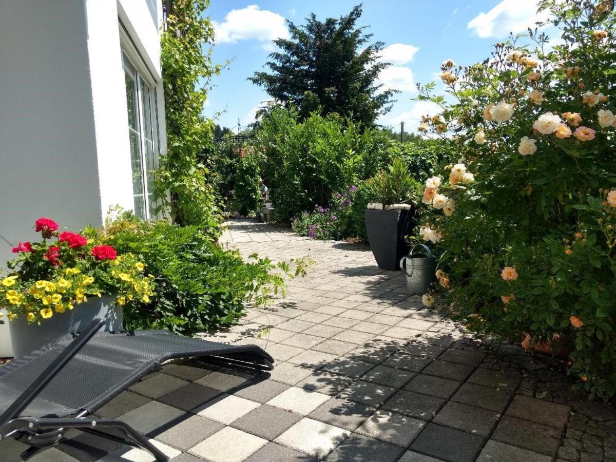 Haus Paradies Superior Fewo'S Loft, Terrasse, Private Sauna, Aktiv Card, ซังคท์แองเกลอมาร์ ภายนอก รูปภาพ